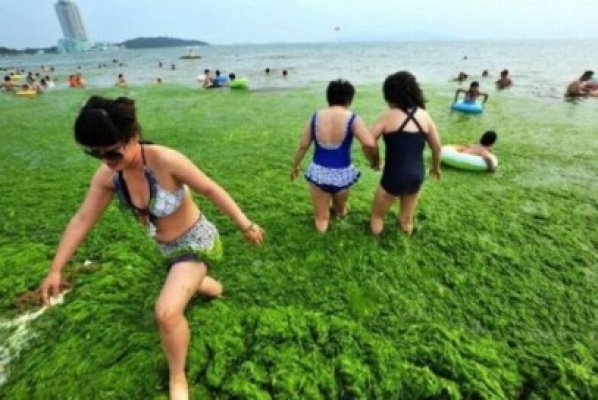 Veşti bune pentru Mitrea: la chinezi marea e mai verde ca la noi!